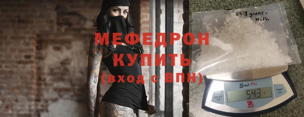 молекула духа Богданович