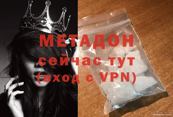 молекула духа Богданович
