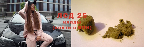 сатива Богородицк