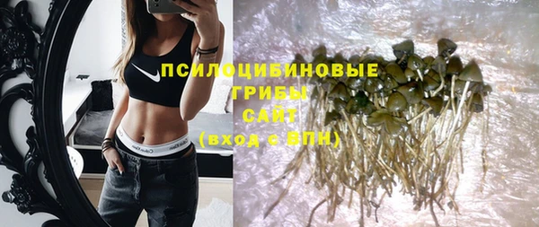 молекула духа Богданович