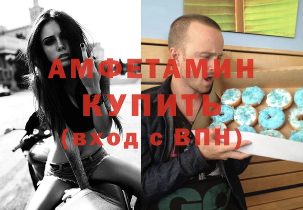 молекула духа Богданович