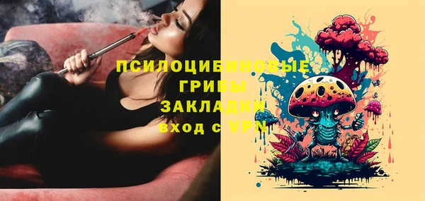 сатива Богородицк
